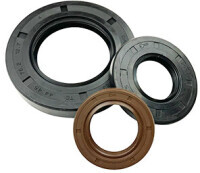 Rotary shaft seal