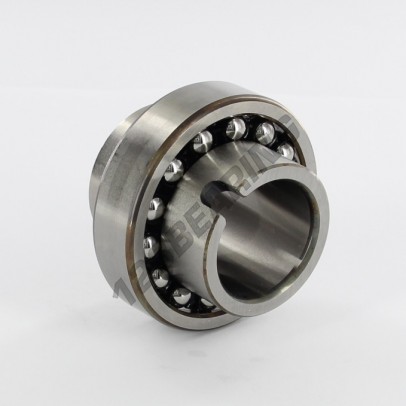 11206-TN9-SKF