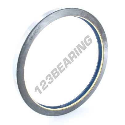 S-165X190X17-COMBI-NBR-CORTECO