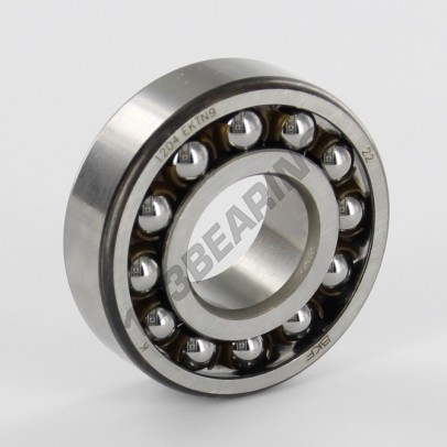 1204-EKTN9-SKF