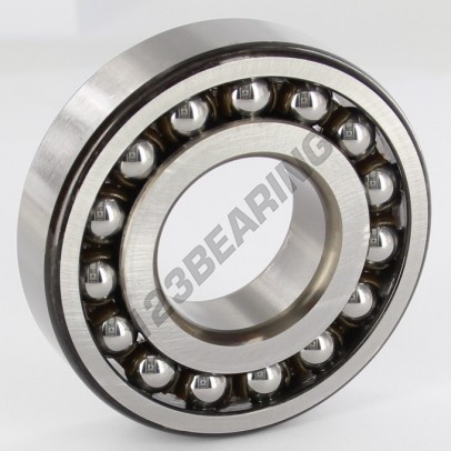 1307-ETN9-SKF