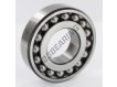 1309-EKTN9-SKF