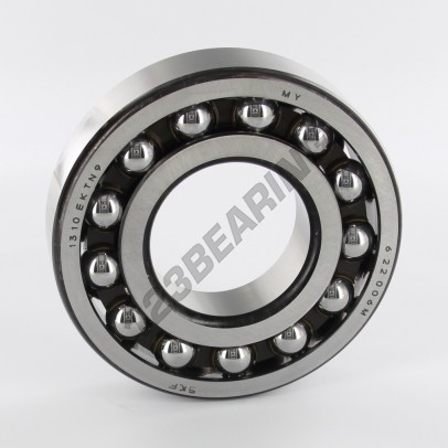 1310-EKTN9-SKF