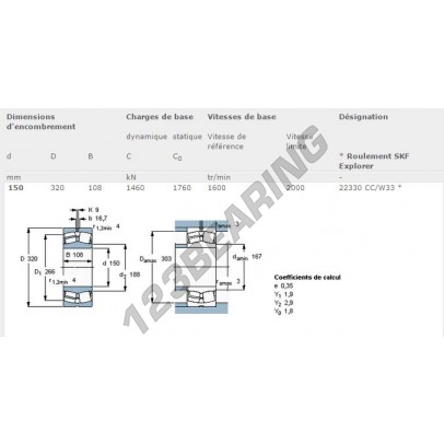 22330-CC-W33-SKF