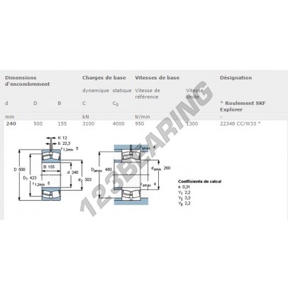 22348-CC-W33-SKF