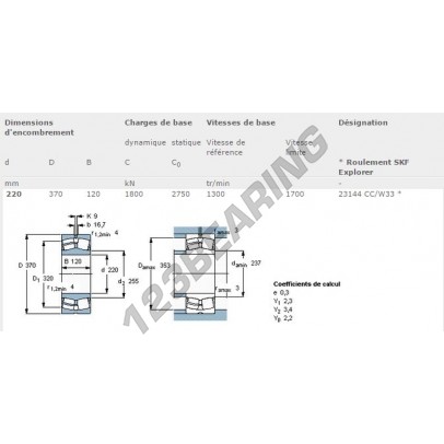 23144-CC-W33-SKF