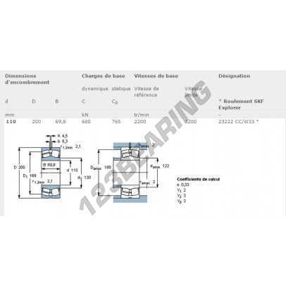 23222-CC-W33-SKF
