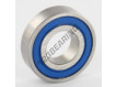 6002-2RS-INOX