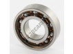 6003-TN9-C3-SKF