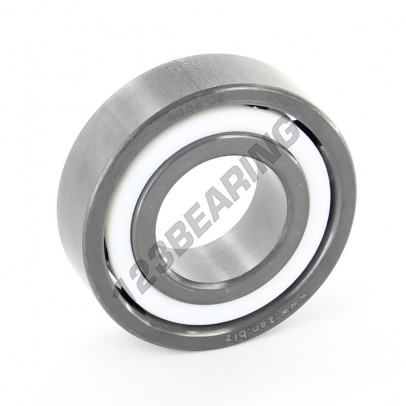 6004-CE-SI3N4-PTFE-ZEN