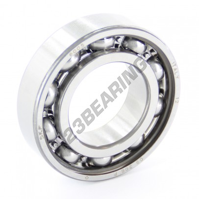 6005-P6-SKF