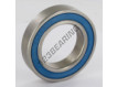 6009-2RS-INOX