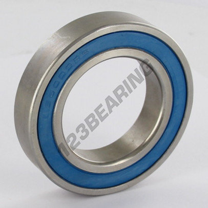 6009-2RS-INOX