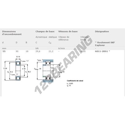 6011-2RS1-SKF