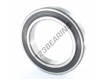 6020-2RS1-C3-SKF