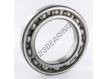 6022-SKF