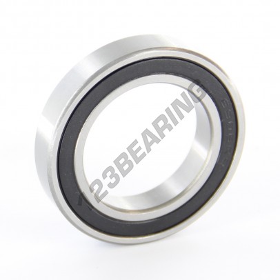 61906-2RS-ZEN