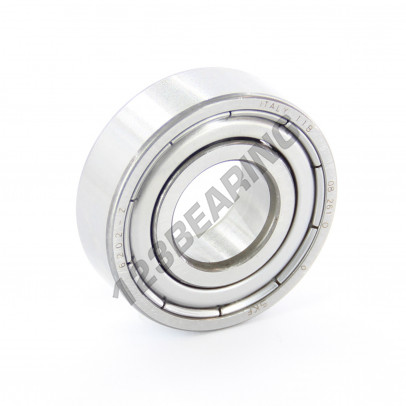 6202-Z-SKF