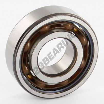 6204-TN9-C3-SKF