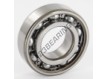 6205-C4-SKF