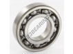 6208-SKF