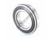 6219-2RS-SKF