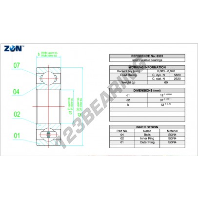 6301-CE-SI3N4-PTFE-ZEN