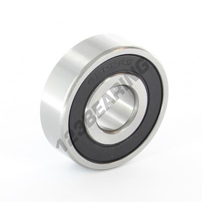 6302-2RS-ZEN