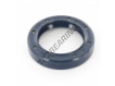 ASP-26X37X7-NBR