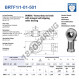 Rod end SI - BRTF1-1-01-501-DURBAL