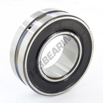 BS2-2209-2RS-VT143-SKF