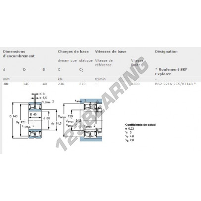 BS2-2216-2CS-VT143-SKF