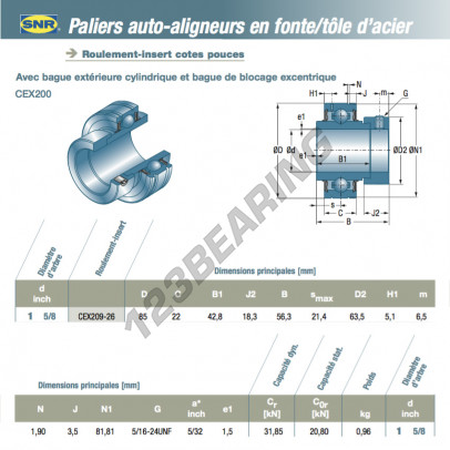 CEX209-26-SNR