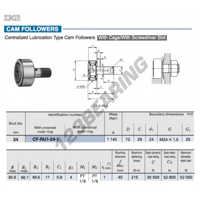 CF-RU1-24-1-IKO
