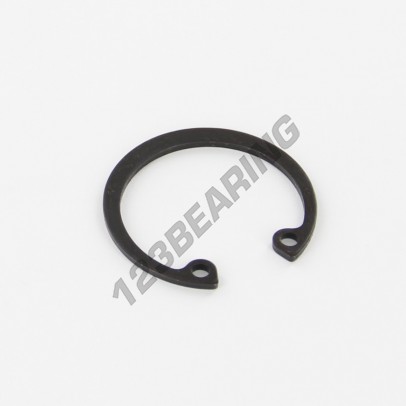 CIRCLIP-INT-31
