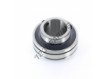 CUC206-19-SNR