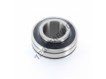 CUC206-19-SNR