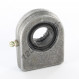 Rod end TPN - DGF20-DO-DURBAL