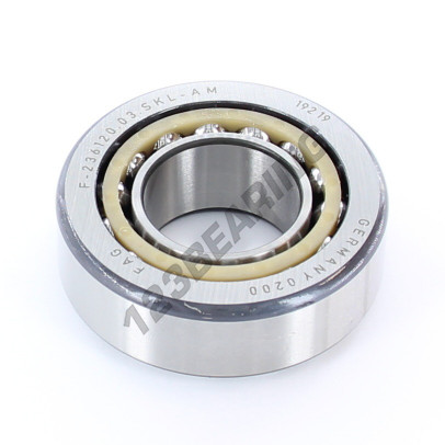 F-236120-03-SKL-AM-FAG