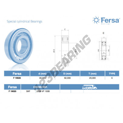 F19025-ASFERSA