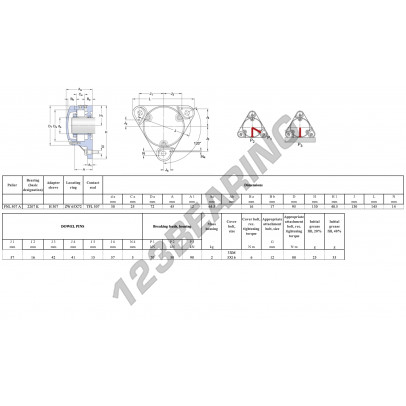 FNL-507-A-2207-K-H307-SKF