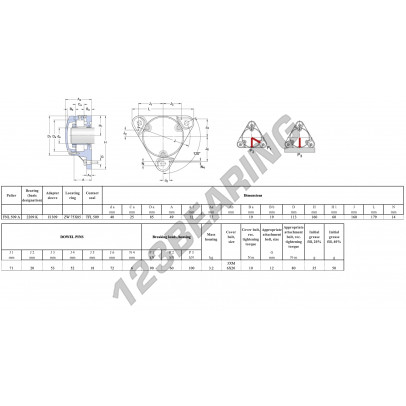FNL-509-A-2209-K-H309-SKF