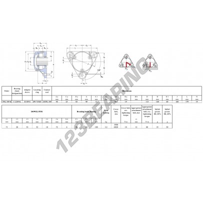 FNL-509-B-C-2209-K-H309-E-SKF