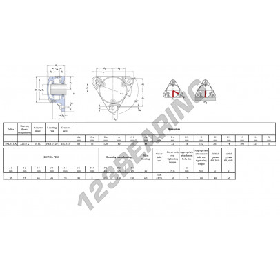 FNL-513-A-22213-K-H313-SKF