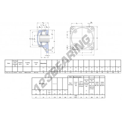 FNL-516-A-1216-K-H216-SKF