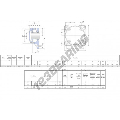 FNL-517-A-22217-K-H317-SKF