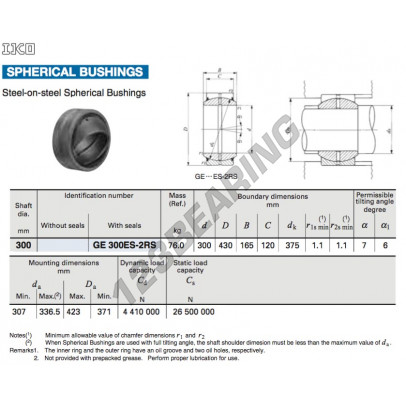 GE300ES-2RS-IKO