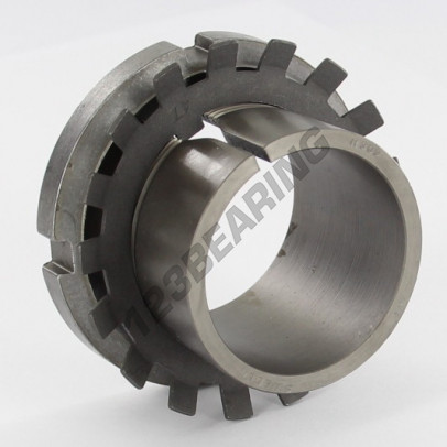 H309-SKF