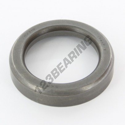 HJ310-SKF