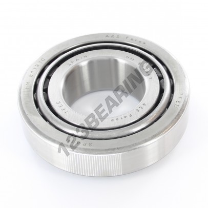 HM813841-HM813810-ASFERSA